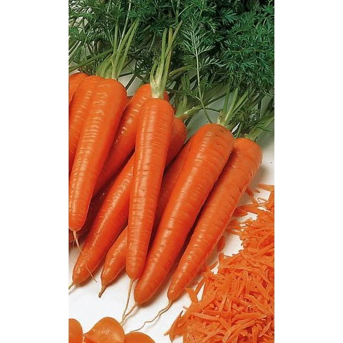 Семена Морковь Тушон 2гр (Марс) Б/П