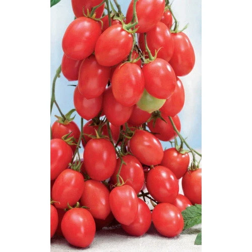 Семена Томат Испанский Розовый 15шт (УД) Е/П