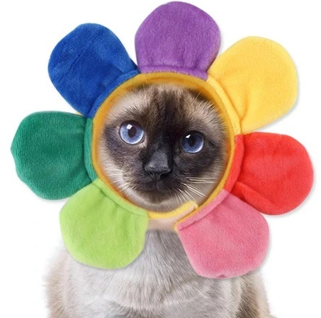 Шапка для собак и кошек Ромашка, цвет как на фото, р L_6