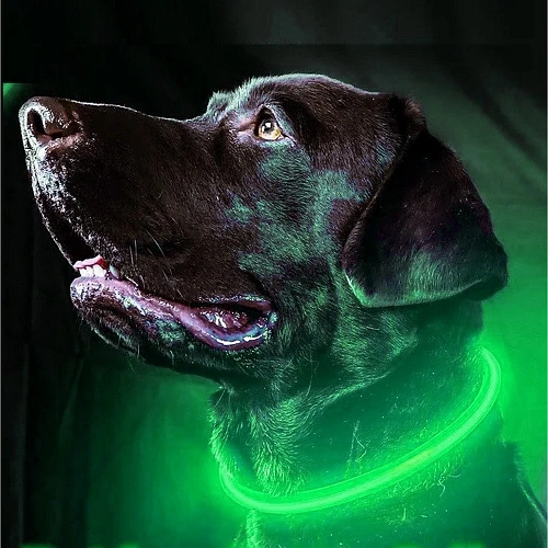 Ошейник неоновый для собак средних пород Защита Бро, цвет зеленый, зарядка от USB, шнур в комплекте, размер M - d 50см (пакет с подвесом)_6