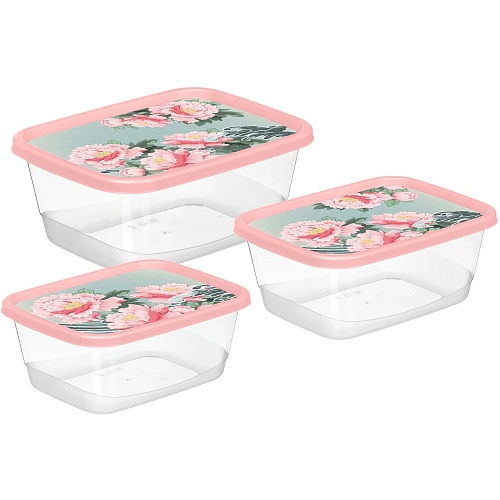 Комплект контейнеров для продуктов прямоугольных 3 шт. (0,5л+0,85л+1,5л) с декором "Сад пионов" 223151808/04