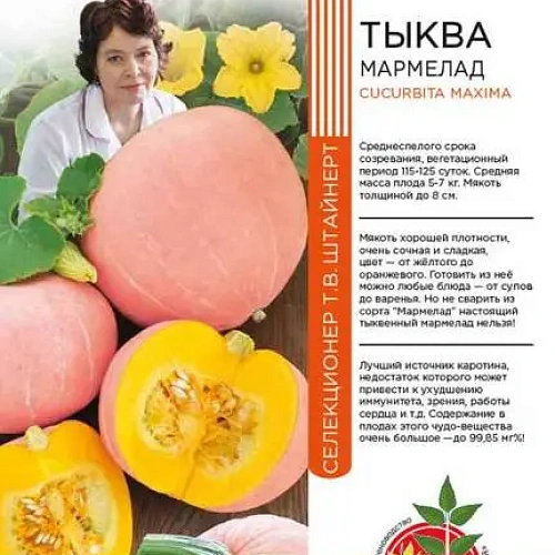 Семена Тыква Мармелад 6шт (ШТВ) Е/П Б/Ф