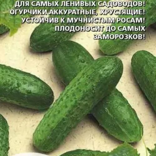 Семена Огурец Чудо лентяя - корнишон F1 6шт (УД) Е/П