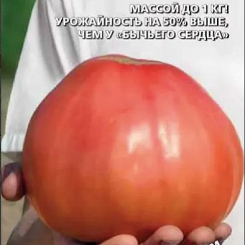 Семена Томат Любящее Сердце 20шт (УД) Е/П