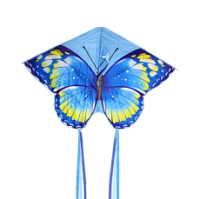 Змеи воздушные