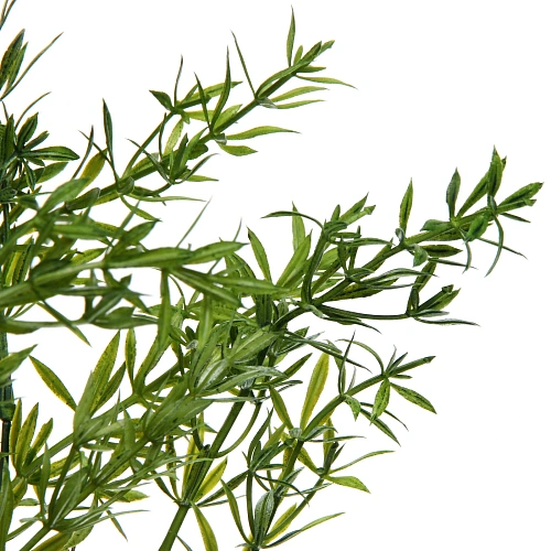 Искусственные цветы Волшебство трав 38см Аспарагус зеленый_4