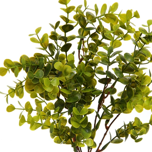 Искусственные цветы Волшебство трав 37см Эвкалипт светло-зеленый_3