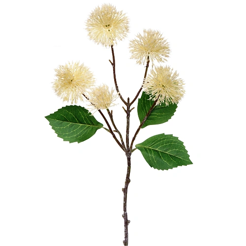 Цветок искусственный Natur 50см Каштан белый_3