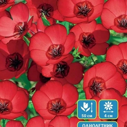 Семена Лен Красный рубин 0,2гр (УД) Е/П