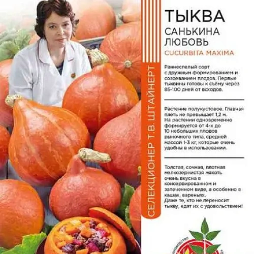 Семена Тыква Санькина любовь 6шт (УД) Е/П Б/Ф