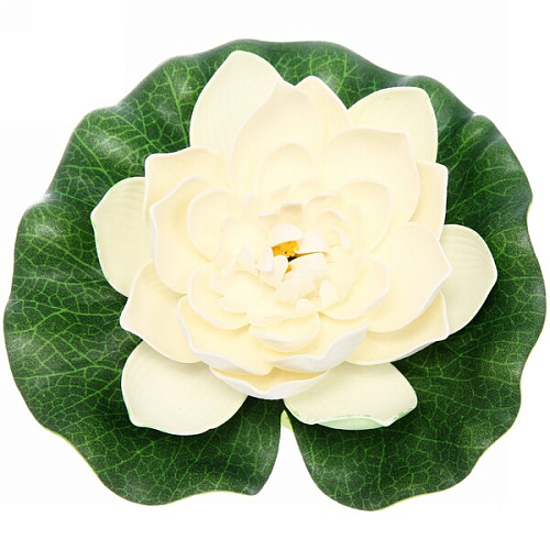 Растение водоплавающее Кувшинка Розитта d-17см белая_6