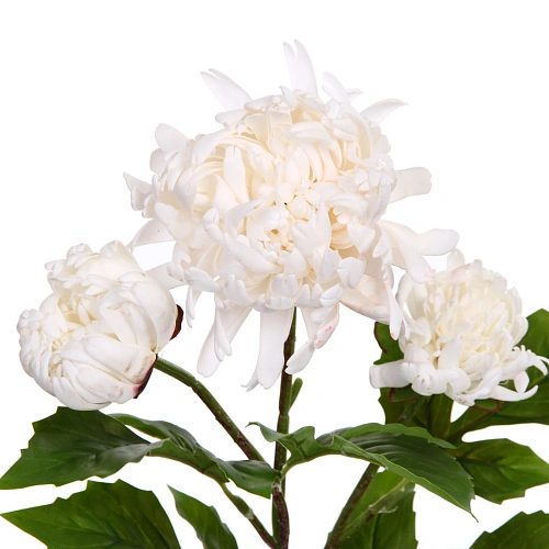 Цветок искусственный Natur 67см Пион белый_4