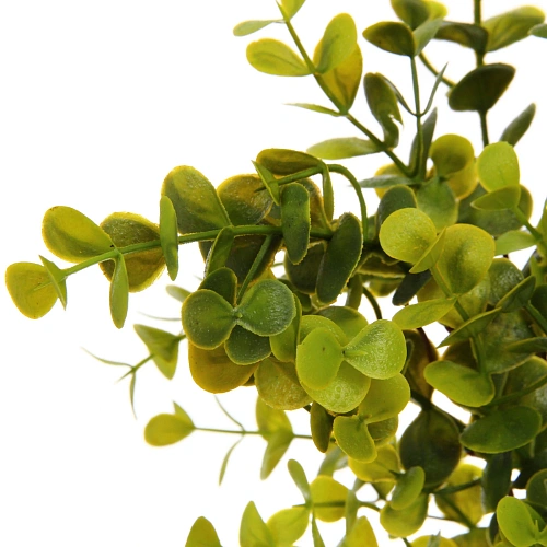 Искусственные цветы Волшебство трав 37см Эвкалипт светло-зеленый_4