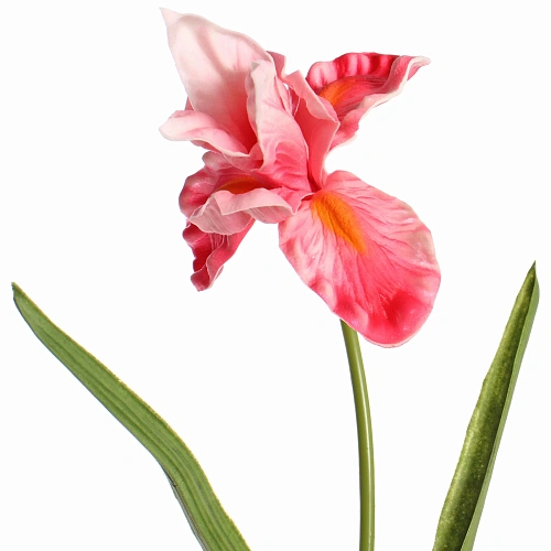 Цветок искусственный Natur 60см Ирис розовый_4