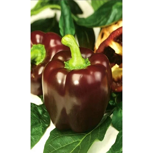 Семена Перец сладкий Гигант темно-вишневый F1 20шт (УД) Е/П