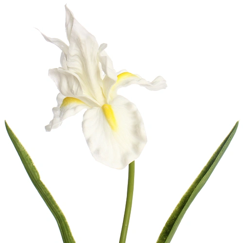 Цветок искусственный Natur 60см Ирис белый_5