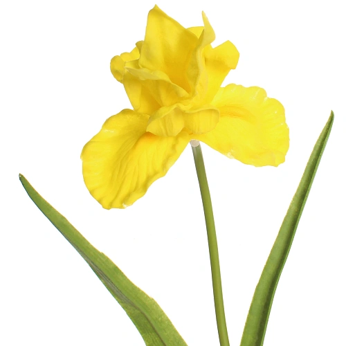 Цветок искусственный Natur 60см Ирис желтый_5