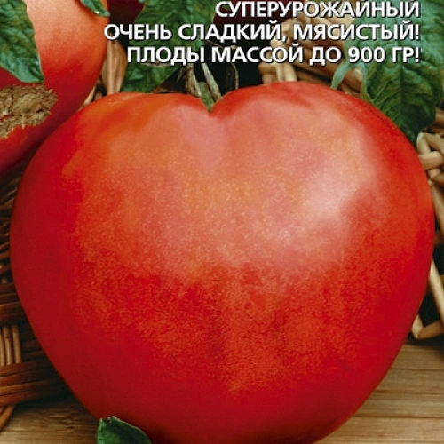 Семена Томат Мишка косолапый 10шт (ШТВ) Е/П Б/Ф