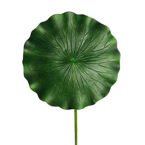 Ультрамарин Растение водоплавающее Лист лотоса 28х90см _3