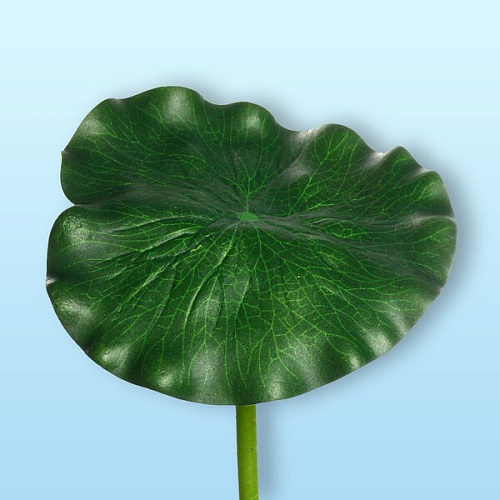 Растение водоплавающее Лист лотоса 17х90см _5