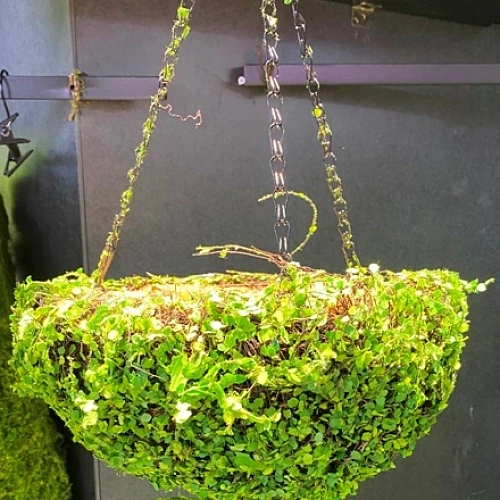 Кашпо для цветов "Сфагнум" с кокосовым волокном, подвесное d=24см, листики